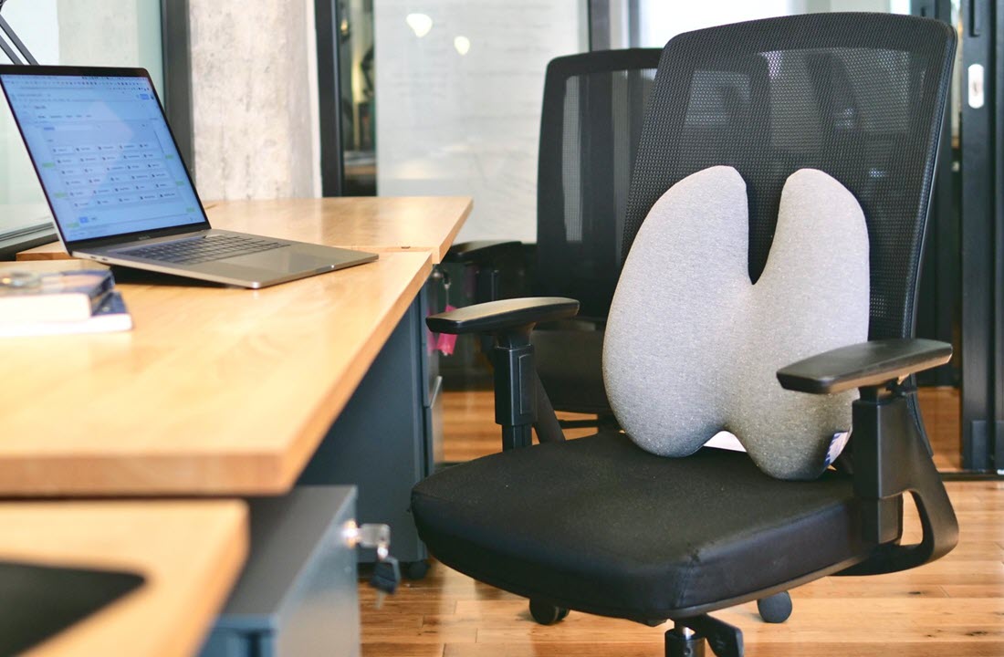 back relief lumbar pillow for office chair, home office, recliner
