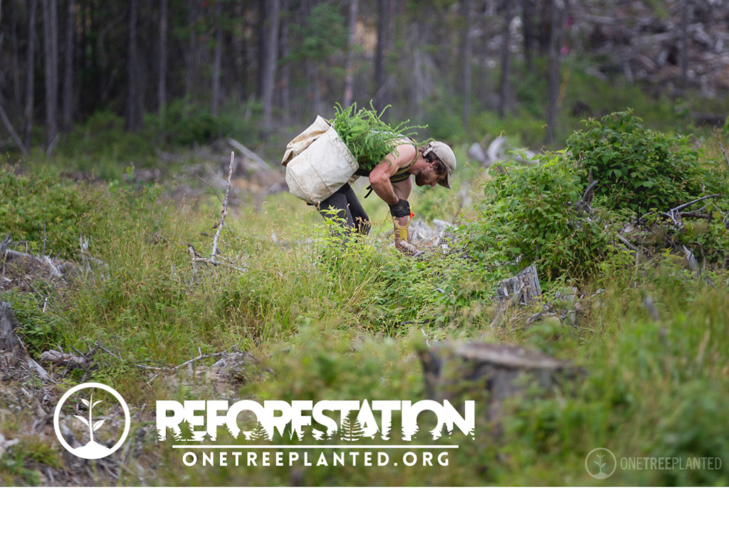 Cushion Lab Hyperfoam™