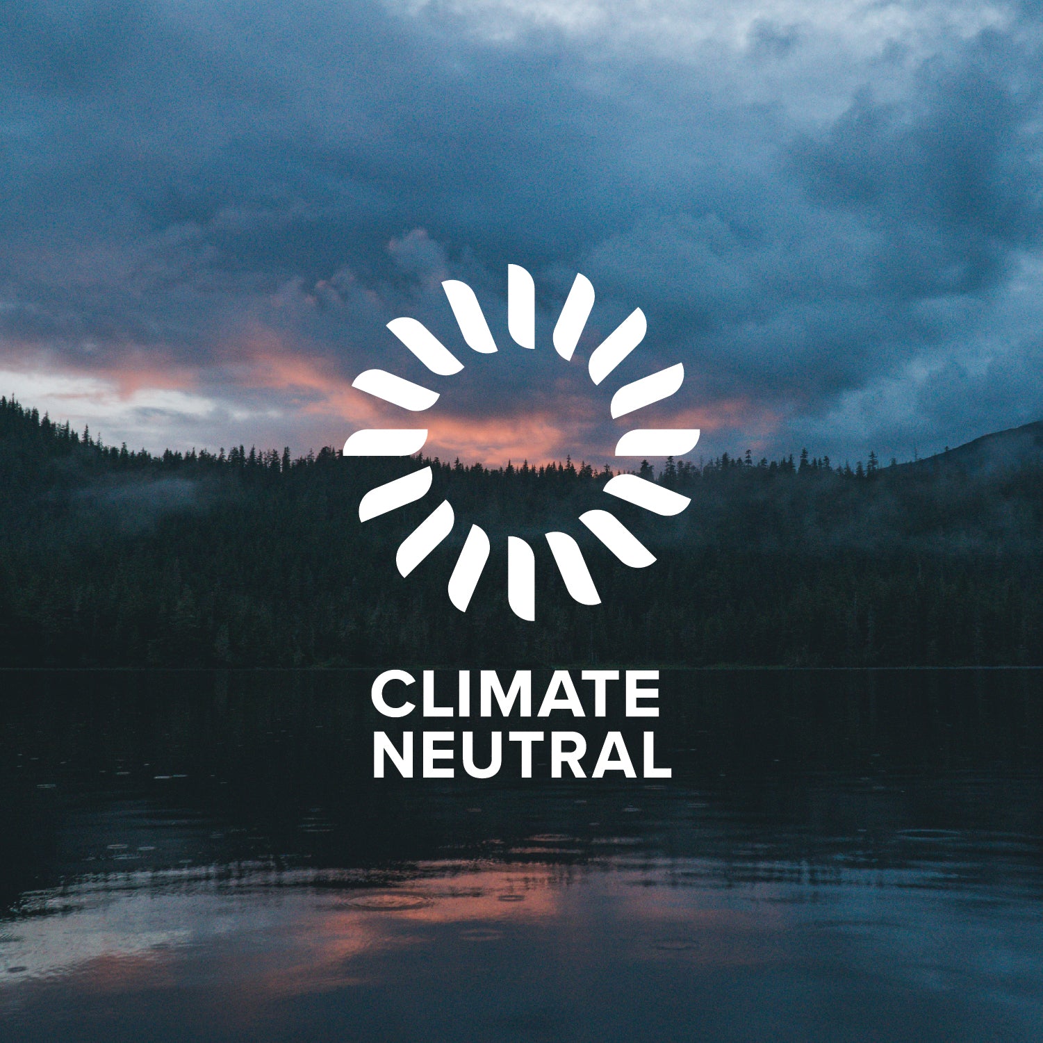 climate neutral - cushion lab