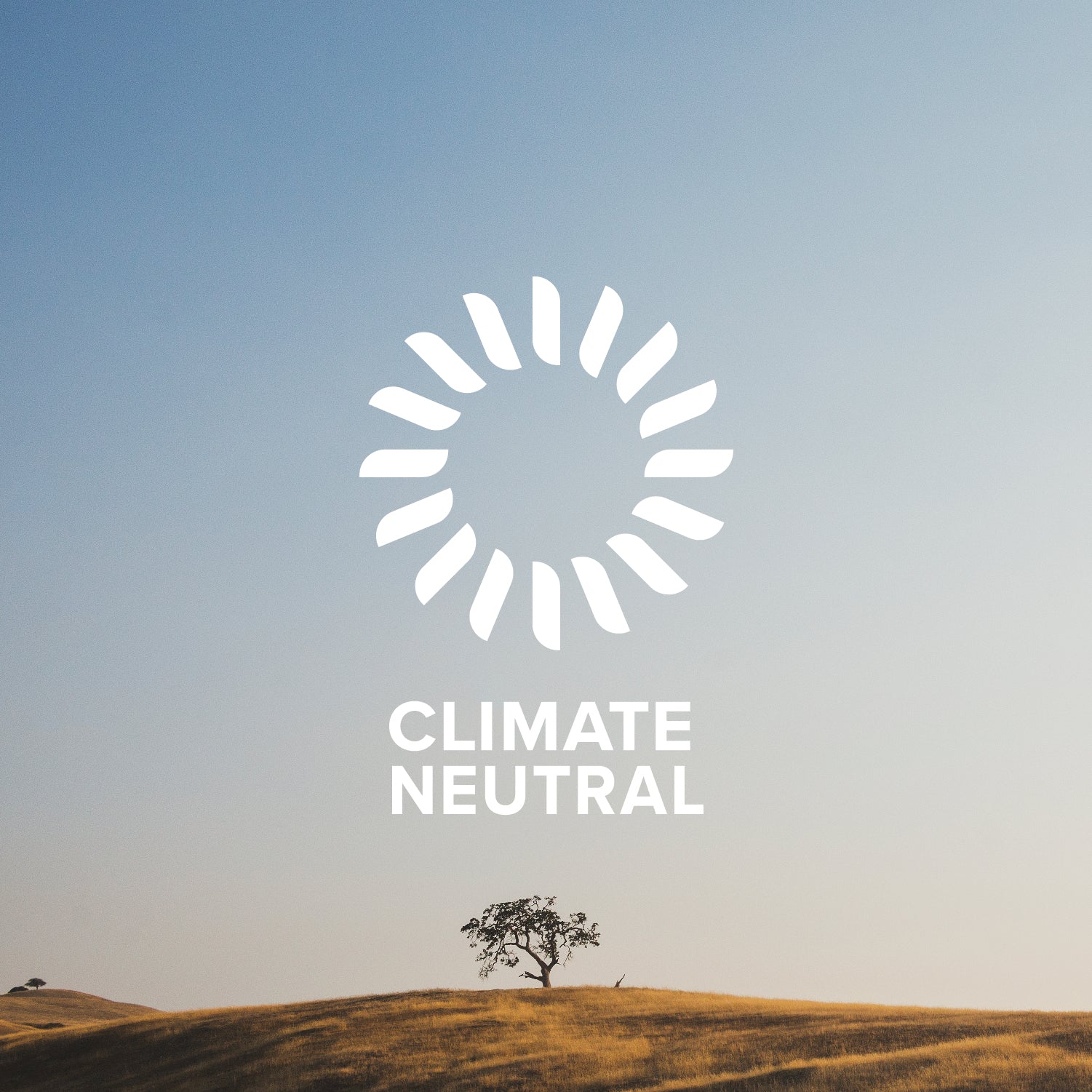 soft and comfortable pillows