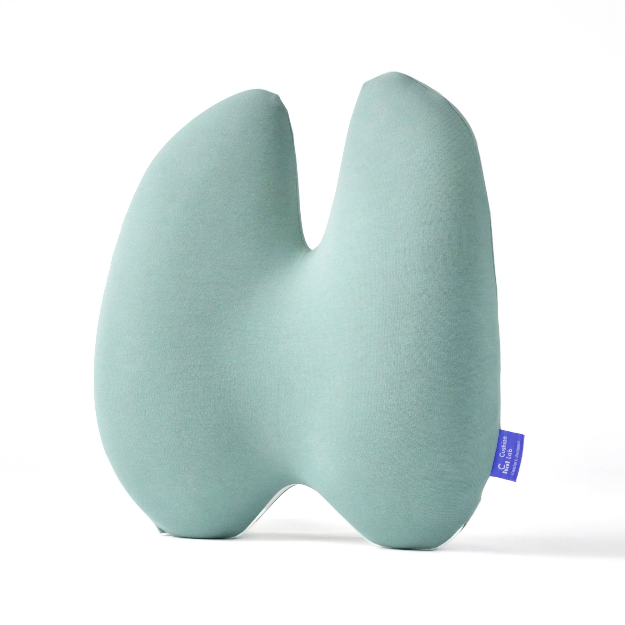 Cushion Lab Back Relief Lumbar Pillow — $69